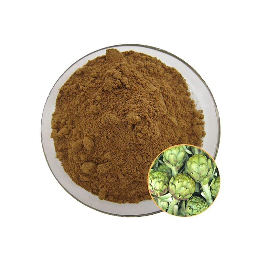 Artichoke Extract Powder-1