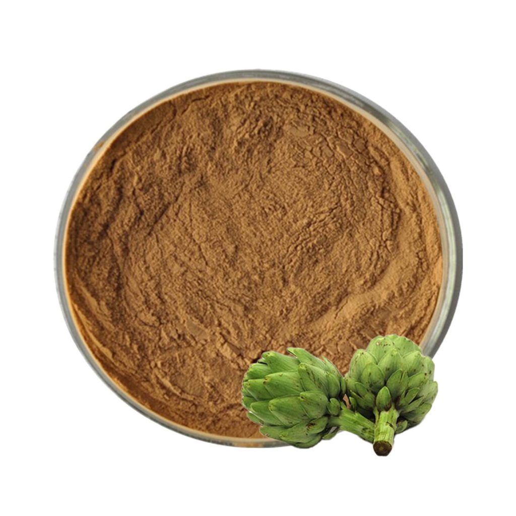 Artichoke Extract Powder-2