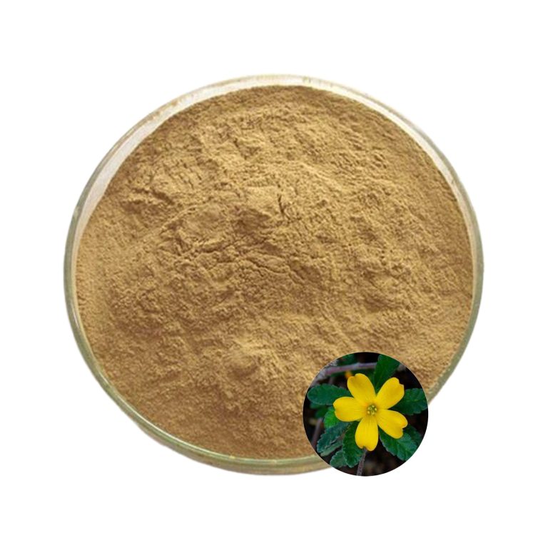 Damiana Extract Powder-1