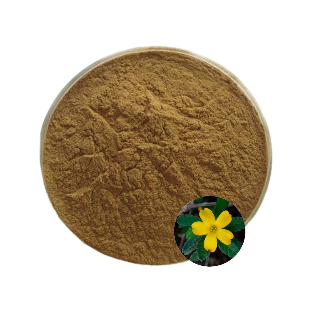 Damiana Extract Powder-2