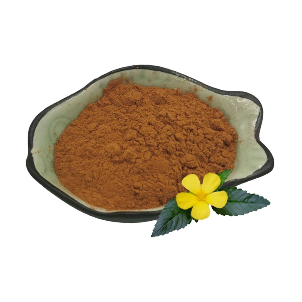 Damiana Extract Powder-3