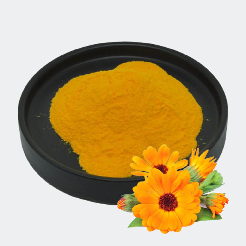 Marigold Extract Powder-1