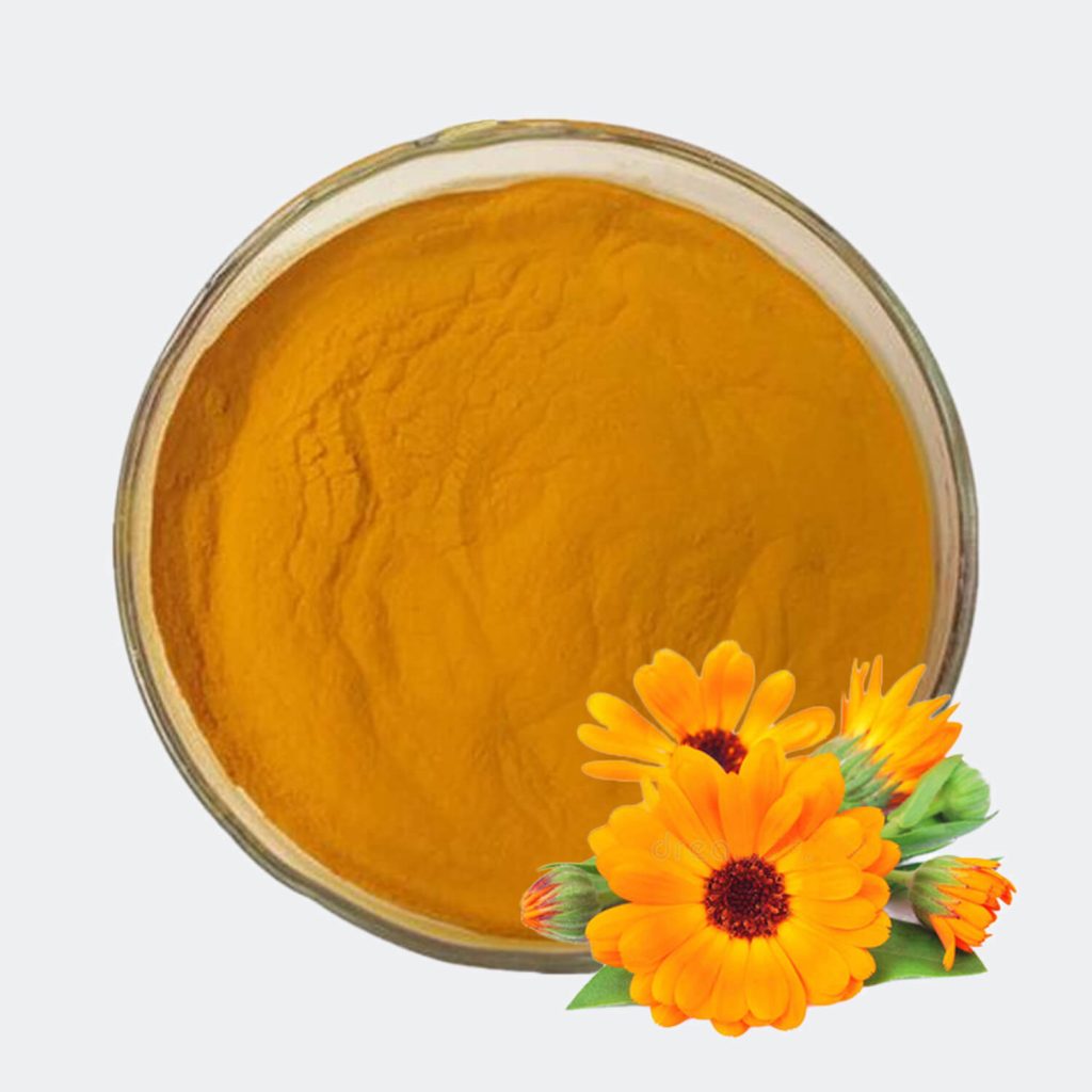 Marigold Extract Powder-3