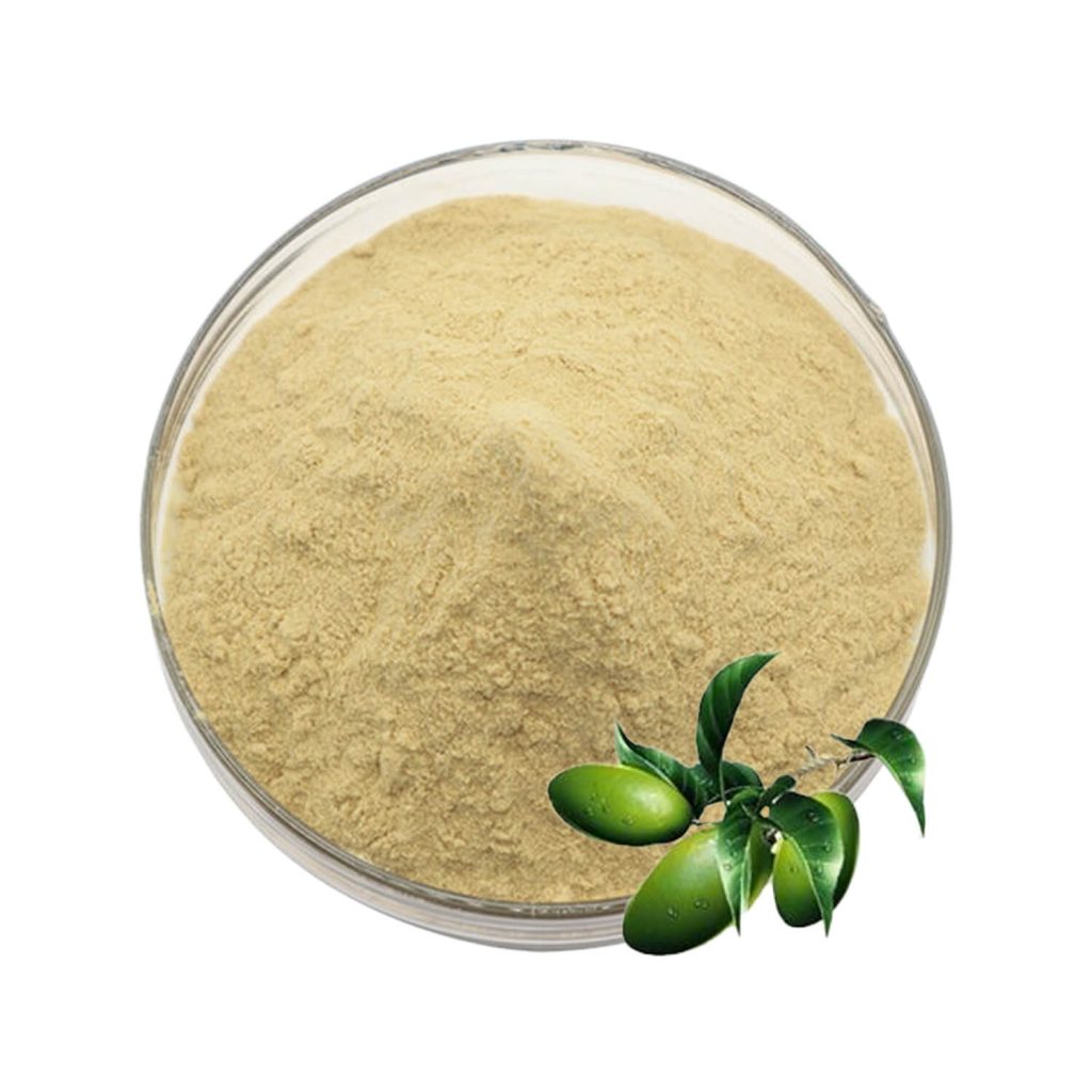 Olive Leaf Extract-1