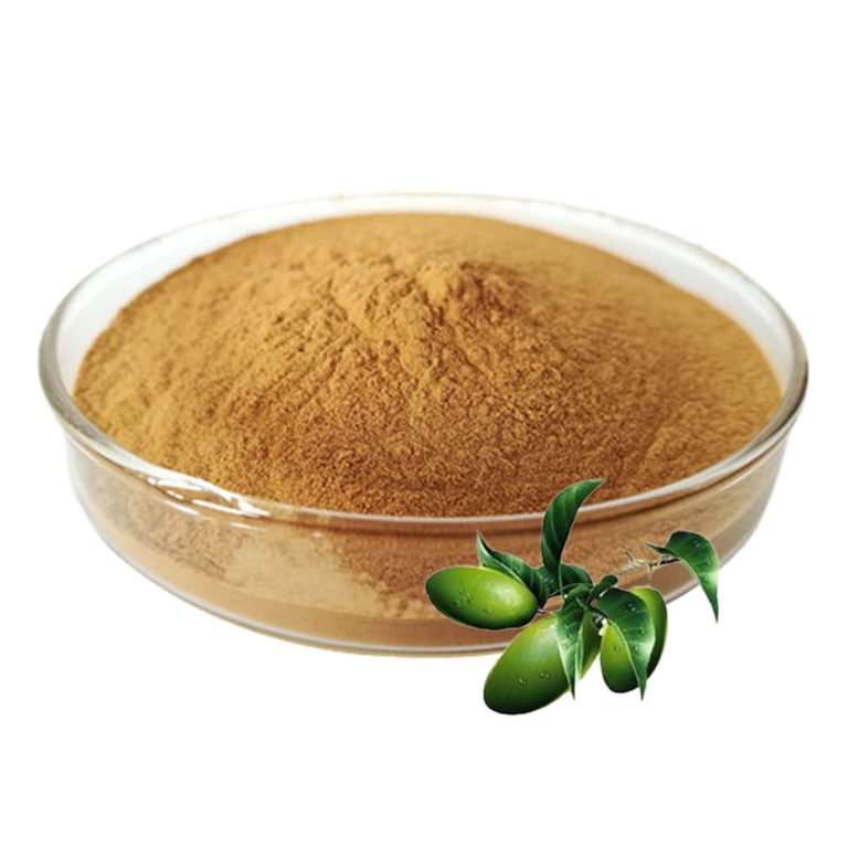 Olive Leaf Extract-2