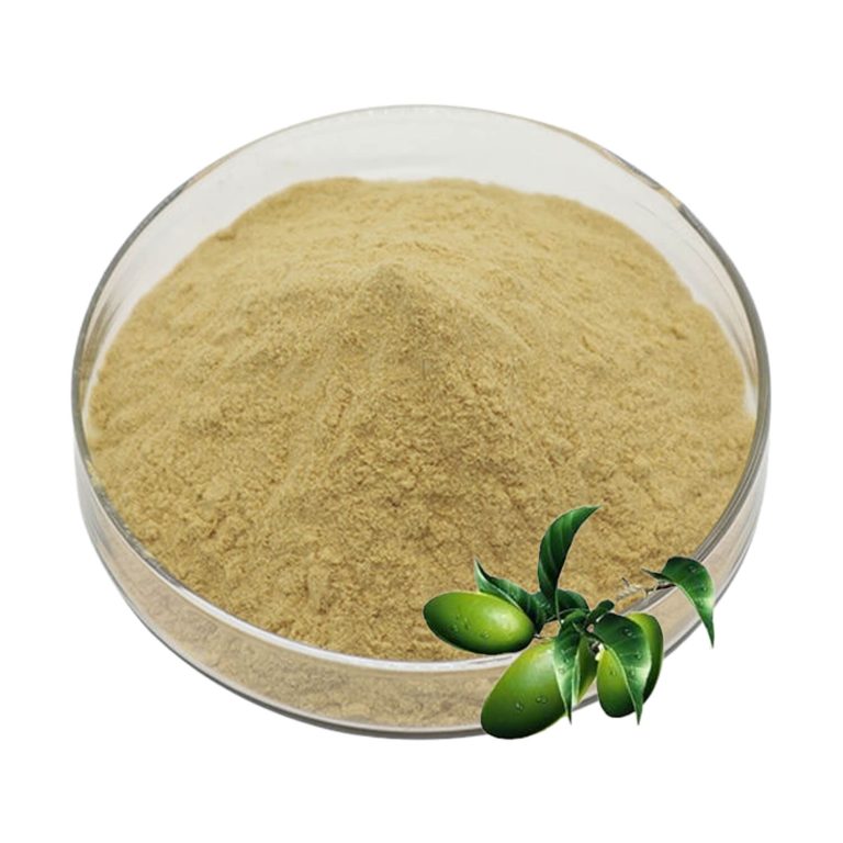 Olive Leaf Extract-4