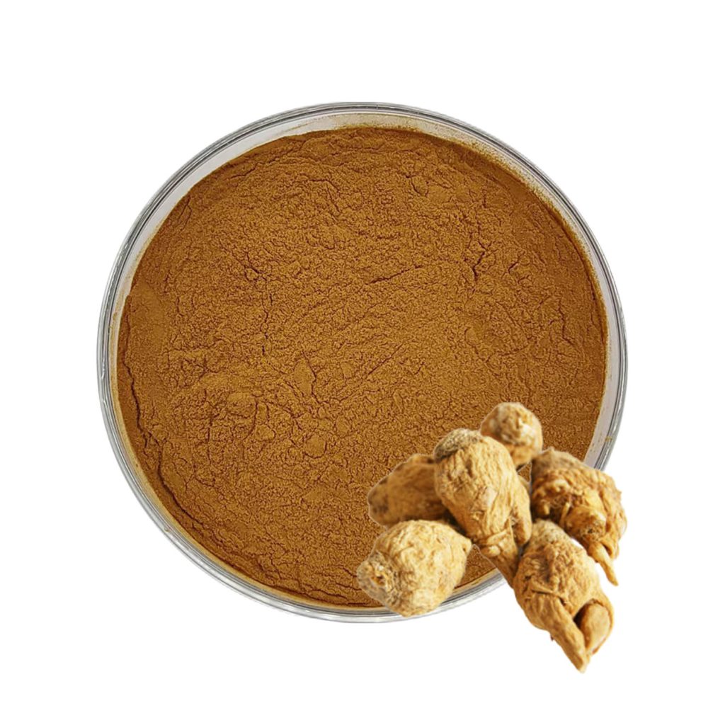 maca root extract powder-1